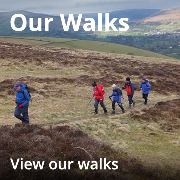 our-walks